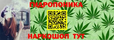 твердый Боровичи